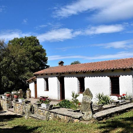 B&B I Menhir Sorgono Экстерьер фото