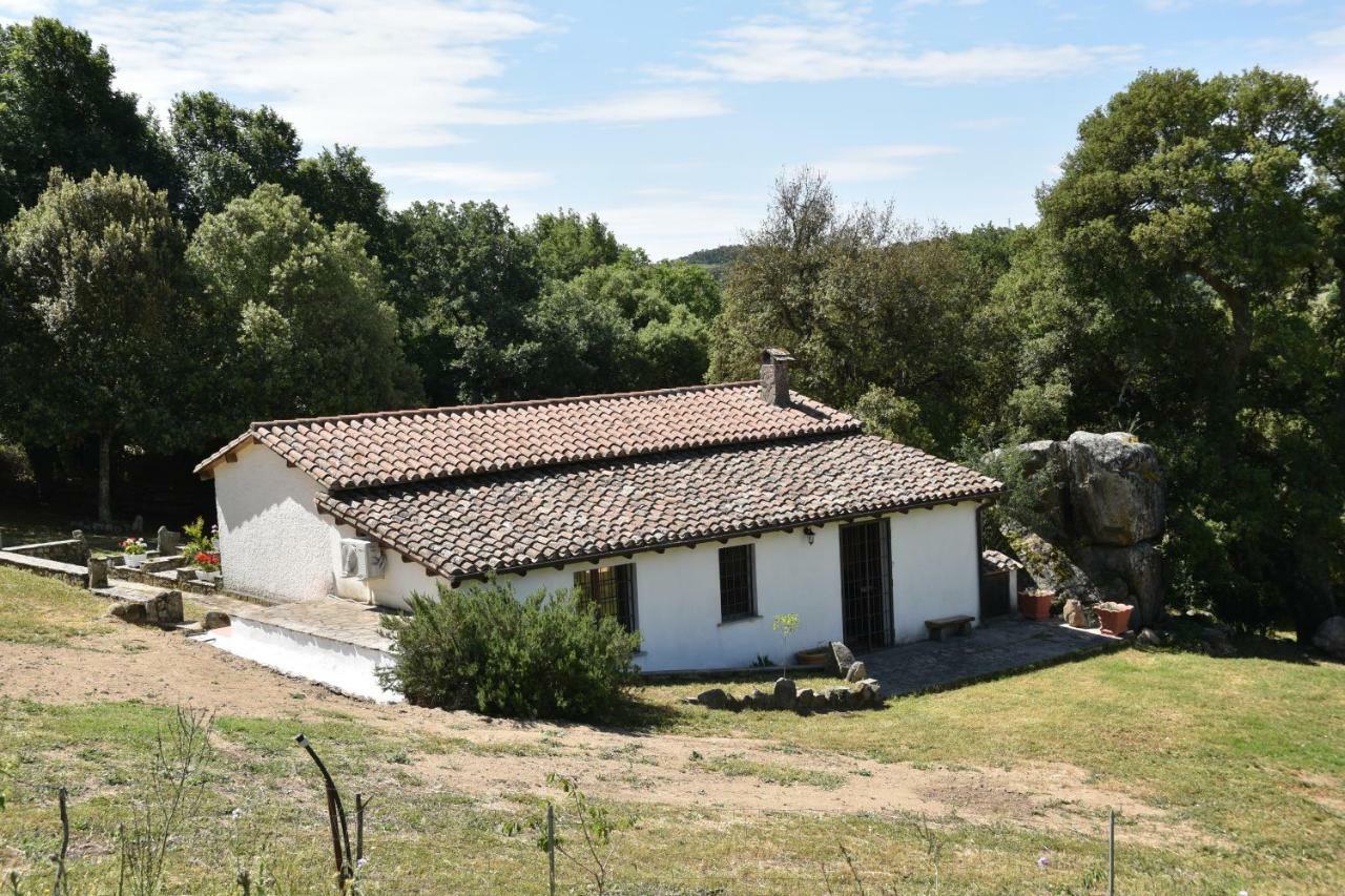 B&B I Menhir Sorgono Экстерьер фото